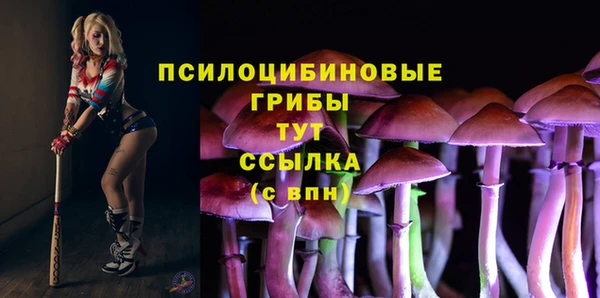 хмурый Алзамай