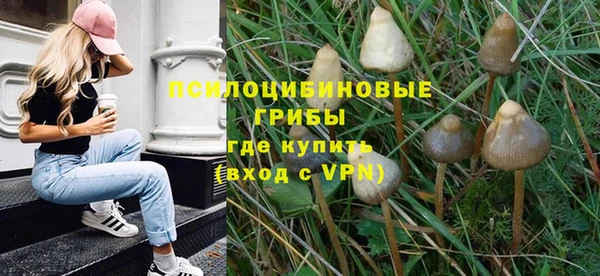 хмурый Алзамай
