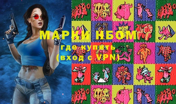 хмурый Алзамай