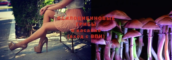 ГАЛЛЮЦИНОГЕННЫЕ ГРИБЫ Абдулино