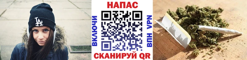Марихуана сатива  Канск 